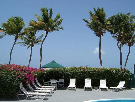 Colony Cove Beach Resort Christiansted Servizi foto